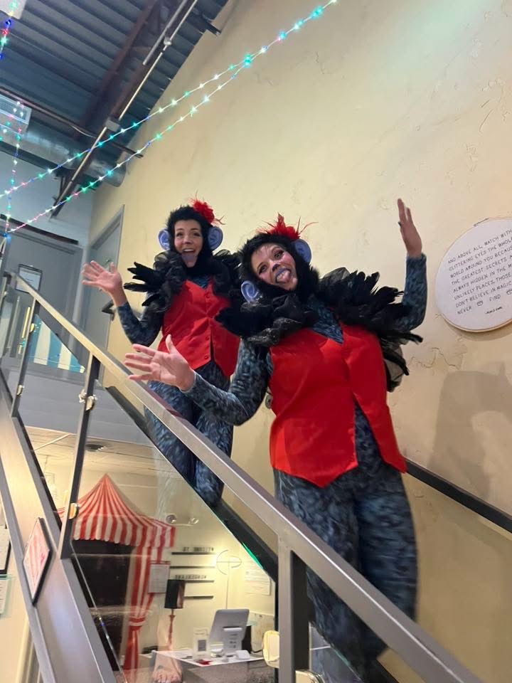  Cirque Wonderland Studios