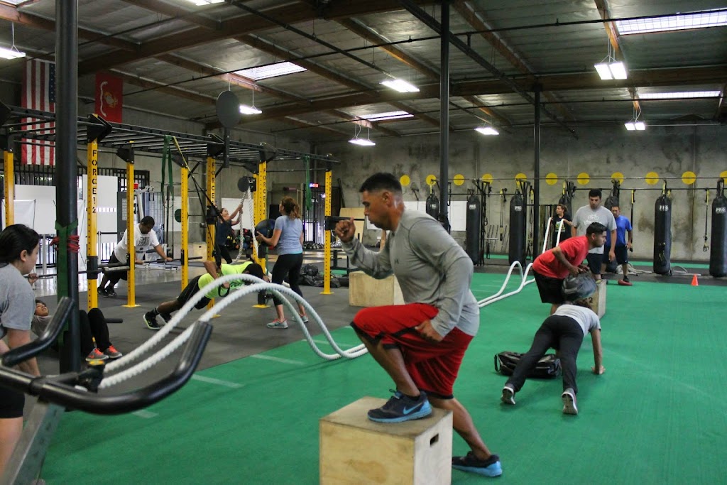  Force12 Training Center