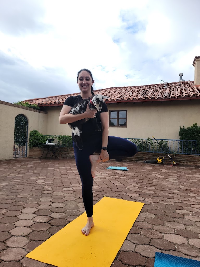  El Paso Goat Yoga