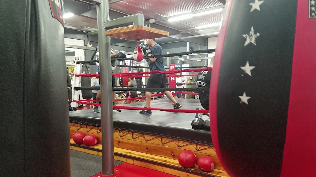  Punch Elite Fitness Miami