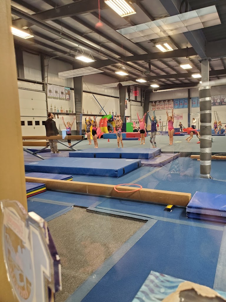  Rising Starz Gymnastics and Fitness