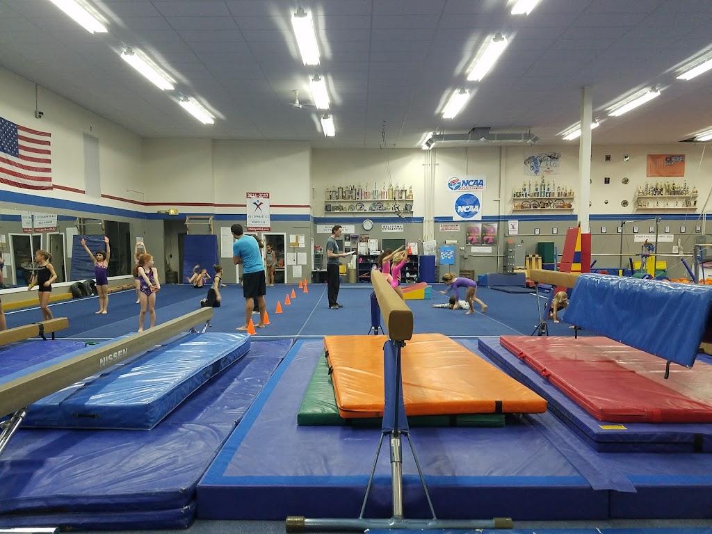  Gymnastics Plus