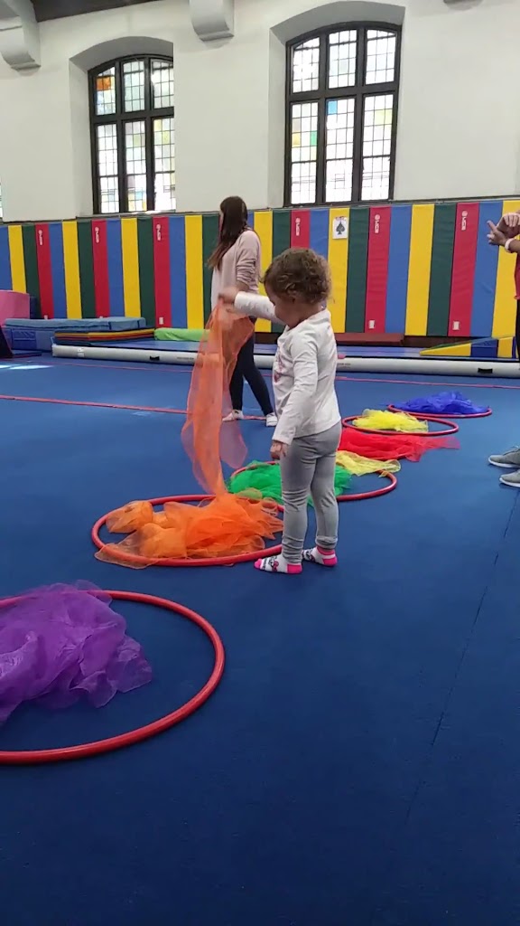  Spotlight Gymnastics