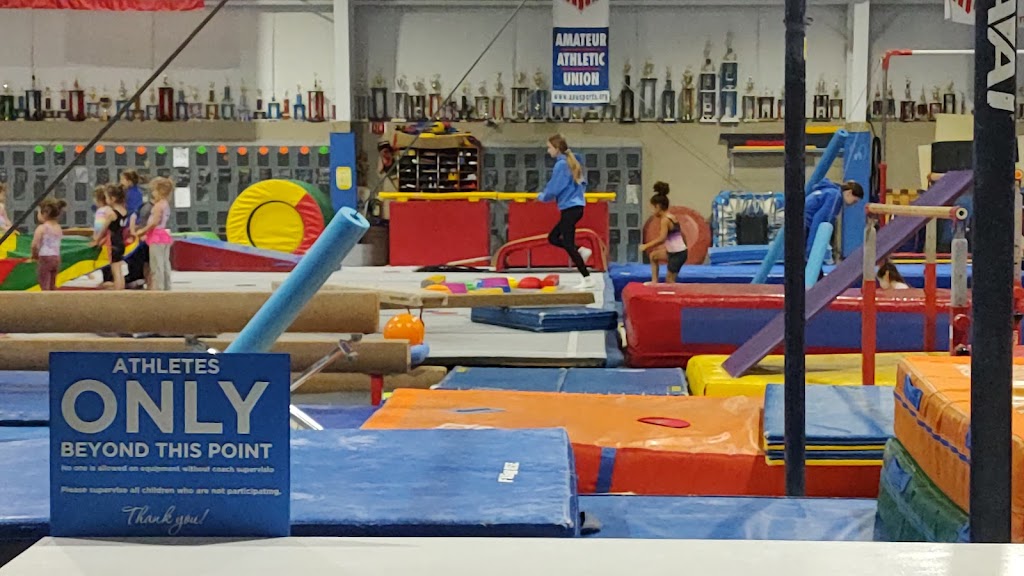  High Flyers Educational Gymnastics