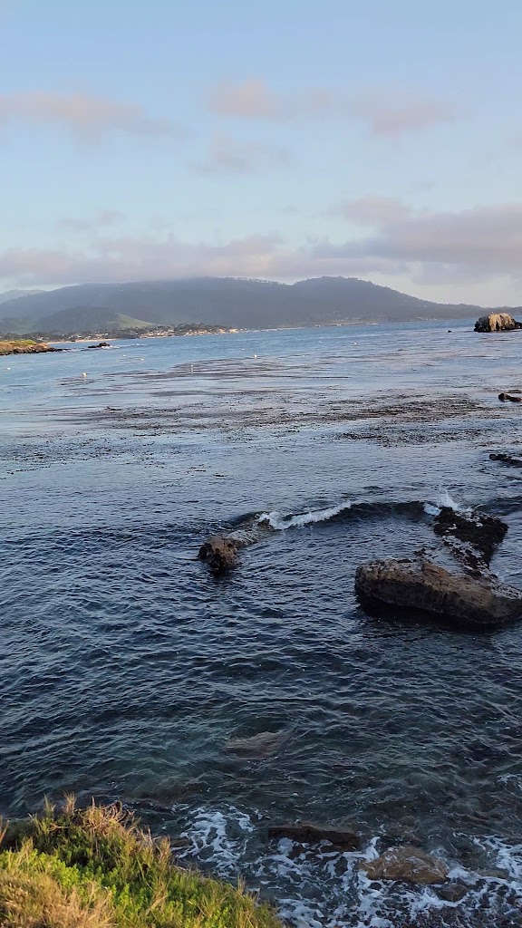  The Beach & Tennis Club