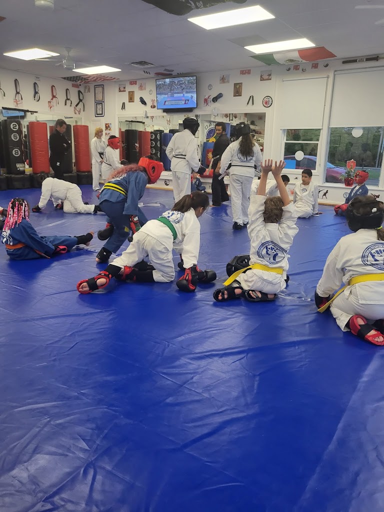  Freestyle Martial Arts Academy