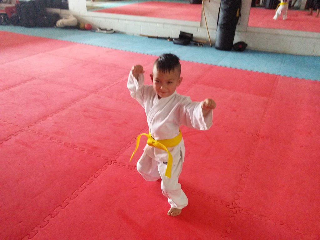  Virginia Tae Kwon Do Institute LLC