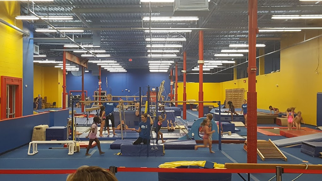  International Gold Gymnastics