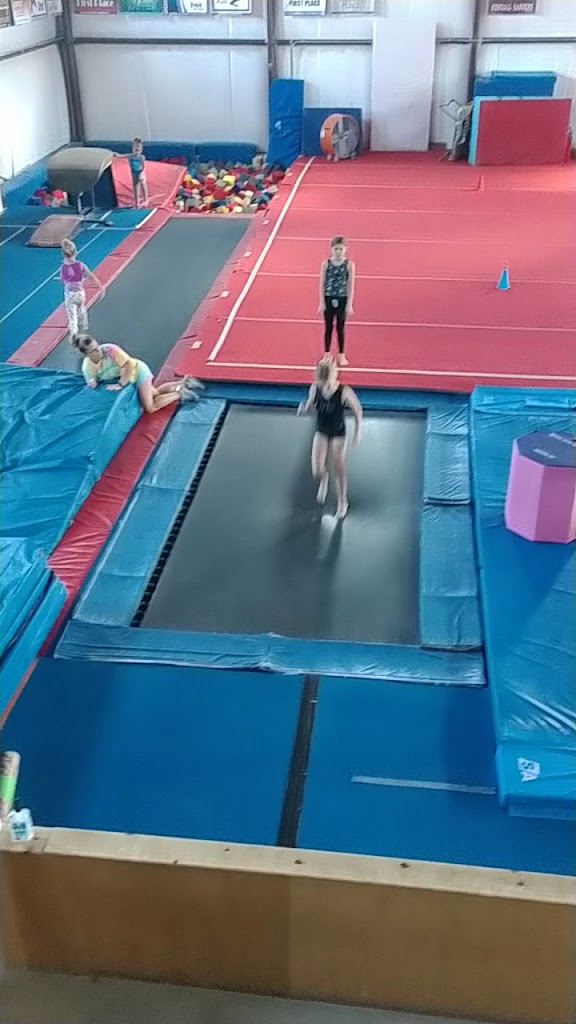  VIP Gymnastics
