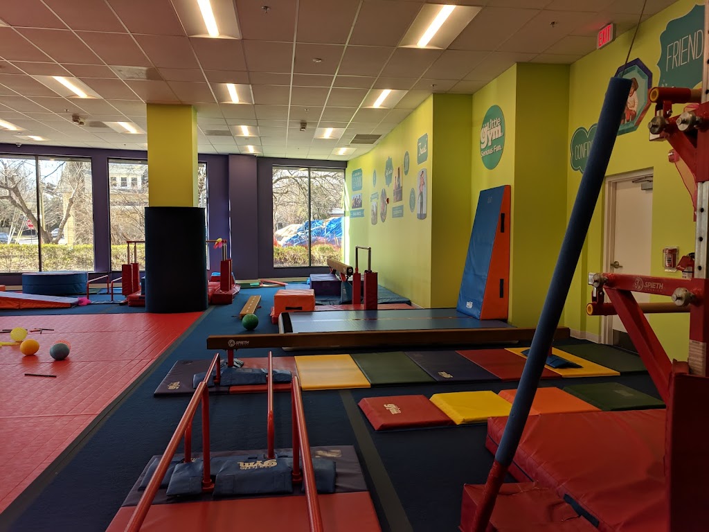  The Little Gym of Arlington