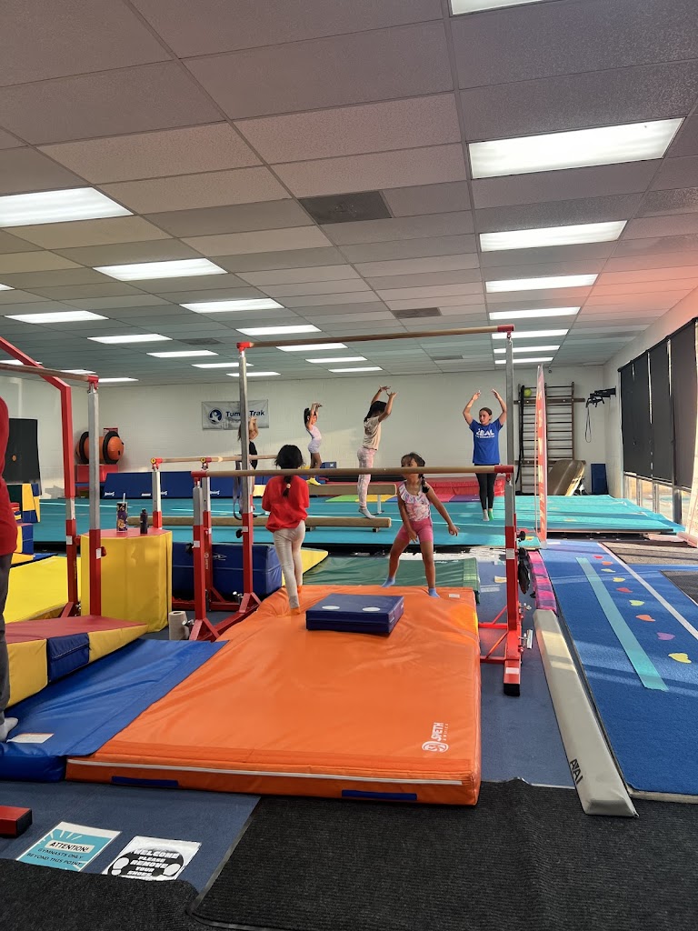  Zeal Kids Gymnastics