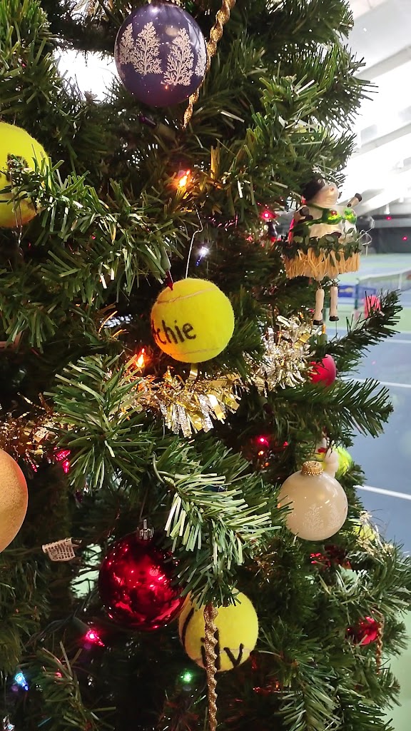  Schaumburg Tennis Plus