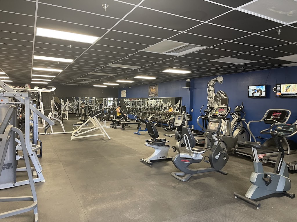  The Gym - Mt. Pleasant