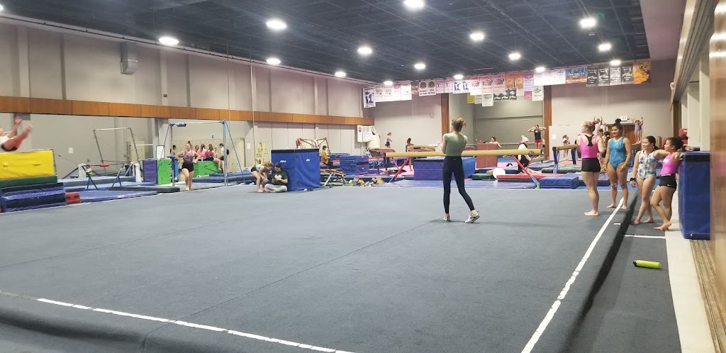  Rebels Gymnastics