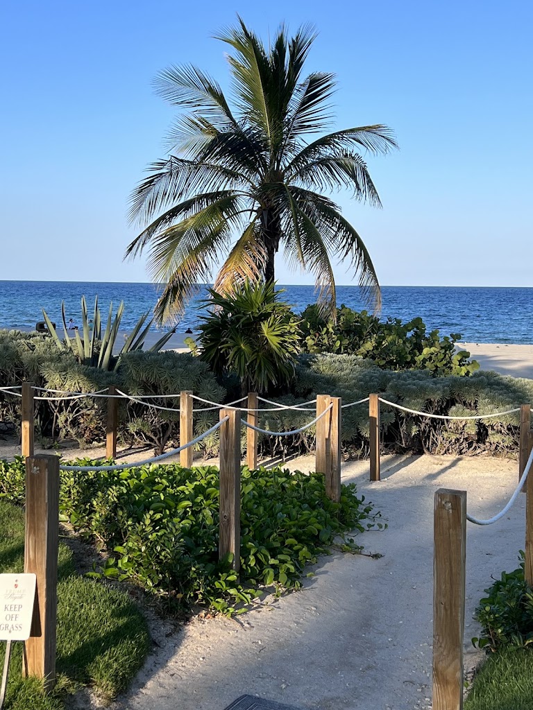  UNDISPUTED BOXING CHAMPIONSHIP