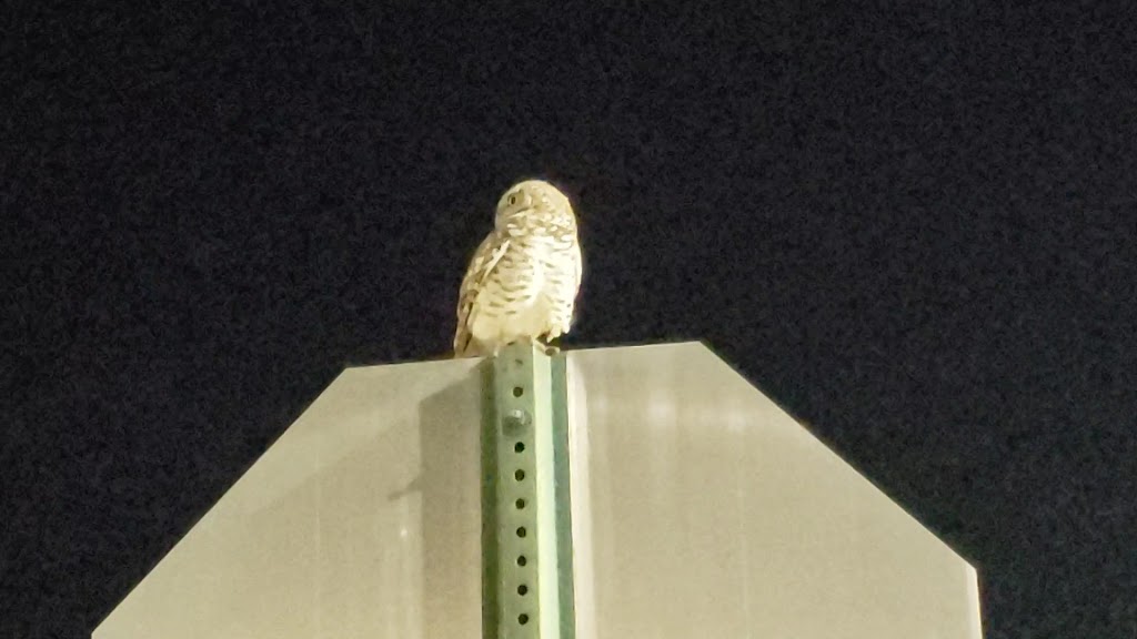  Davie Pine Island Park Multipurpose Center