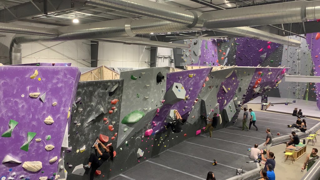  DYNO Detroit Climbing
