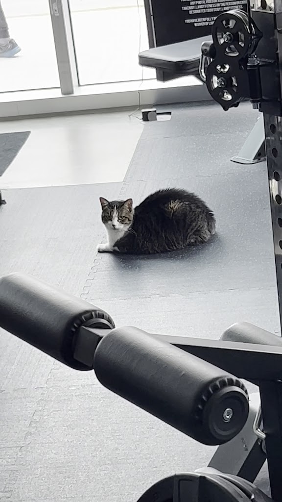  J.Andy Health & Wellness