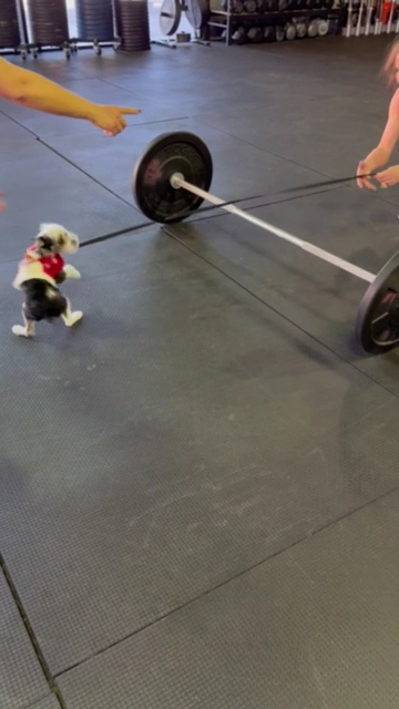  Kaizen Performance Training