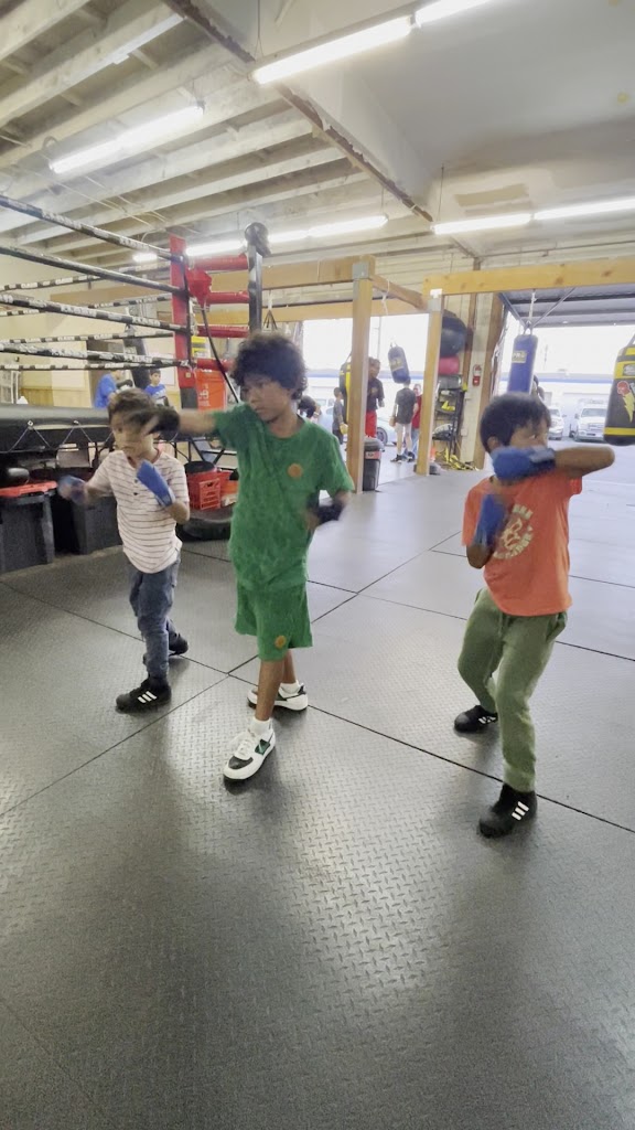  Flash Enterprises Boxing Academy