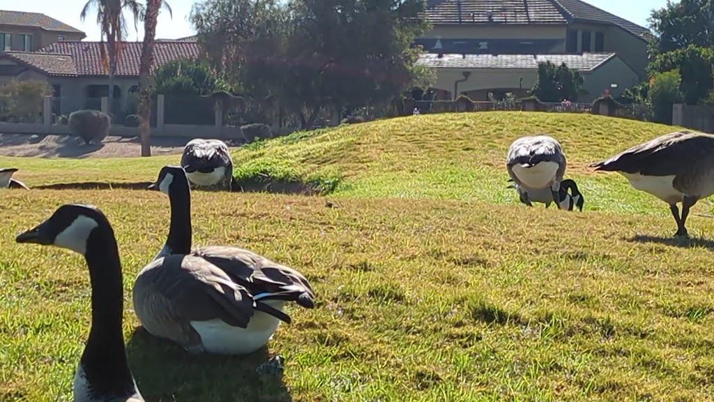  Palm Valley Golf Club
