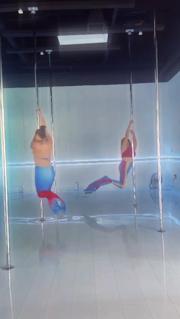  Wonderland Pole and Dance LLC