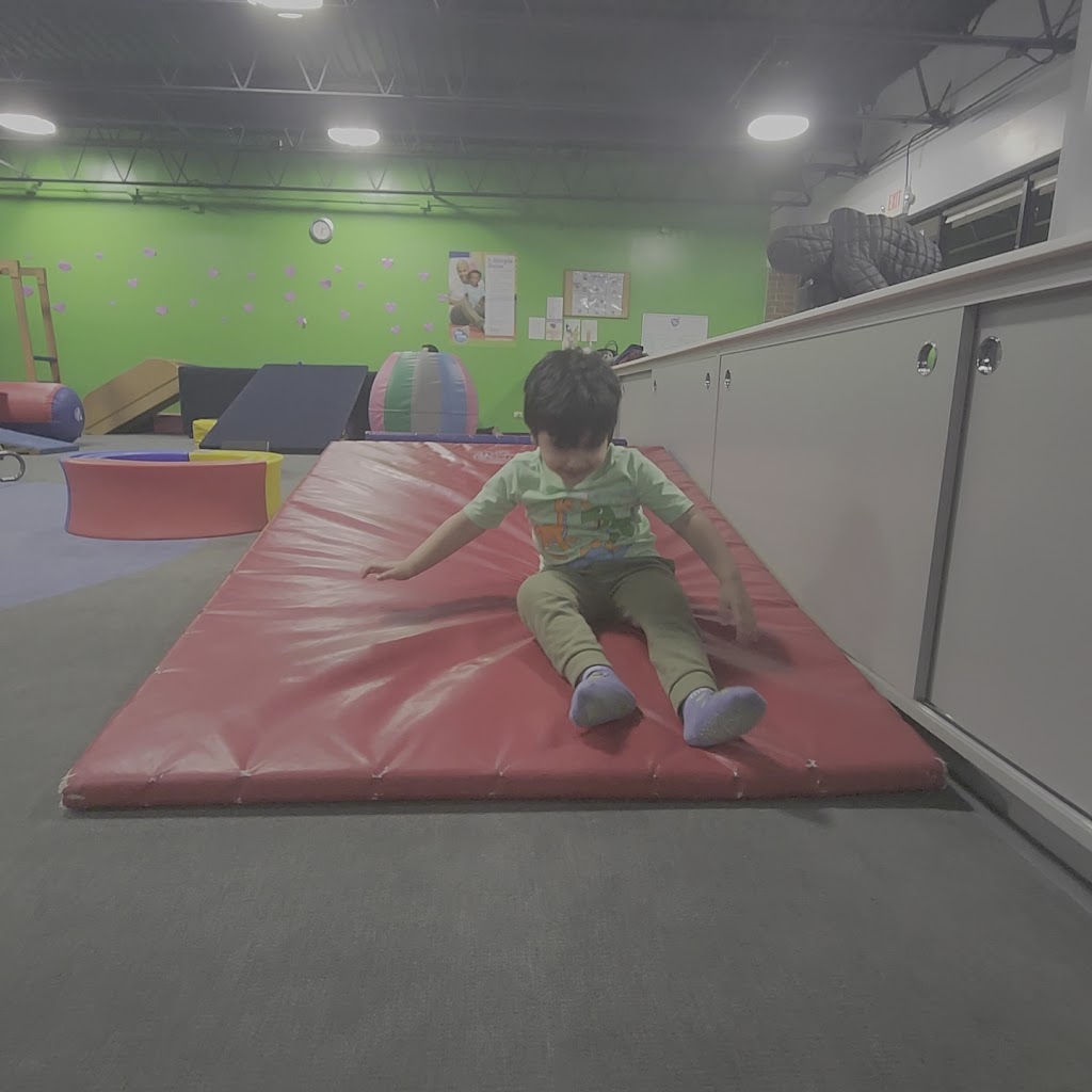  My Gym Children's Fitness Center