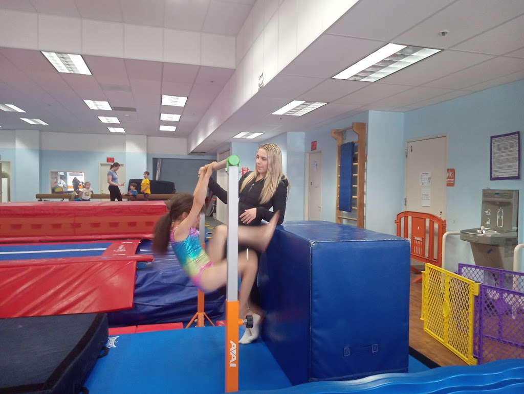  San Francisco Gymnastics Inc