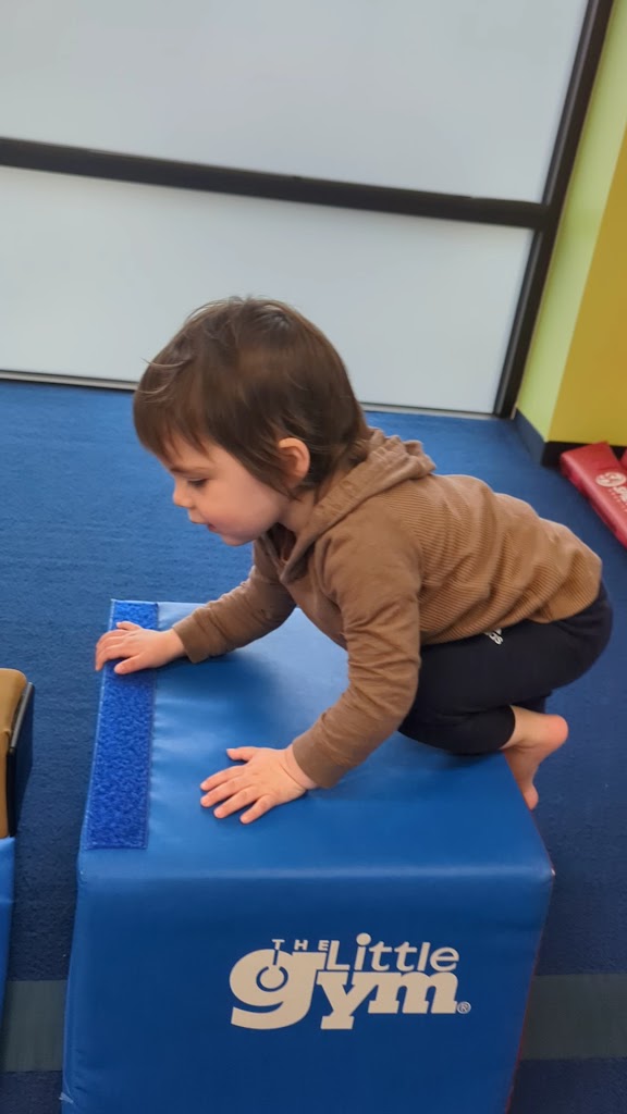  The Little Gym of Vancouver