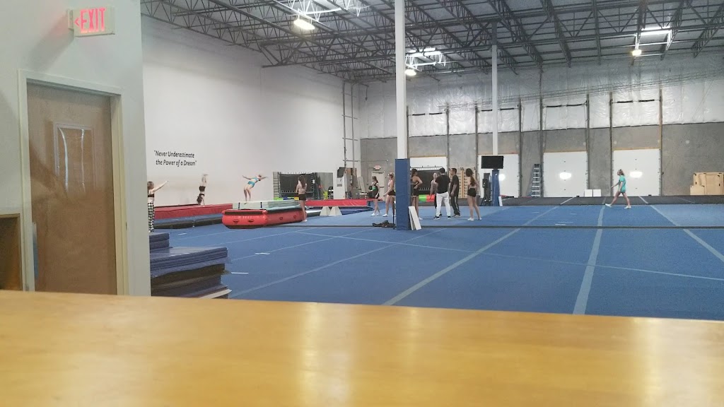  The Stingray Allstars Virginia