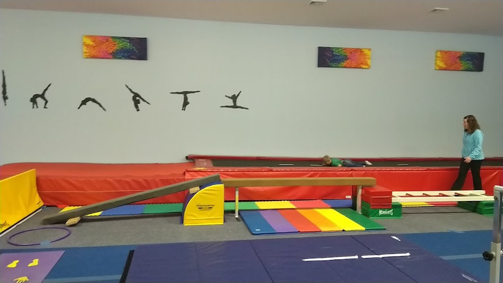  Tammy's Tumbling & Gymnastics
