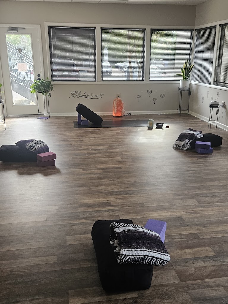  Bull City Yoga Festival Studio