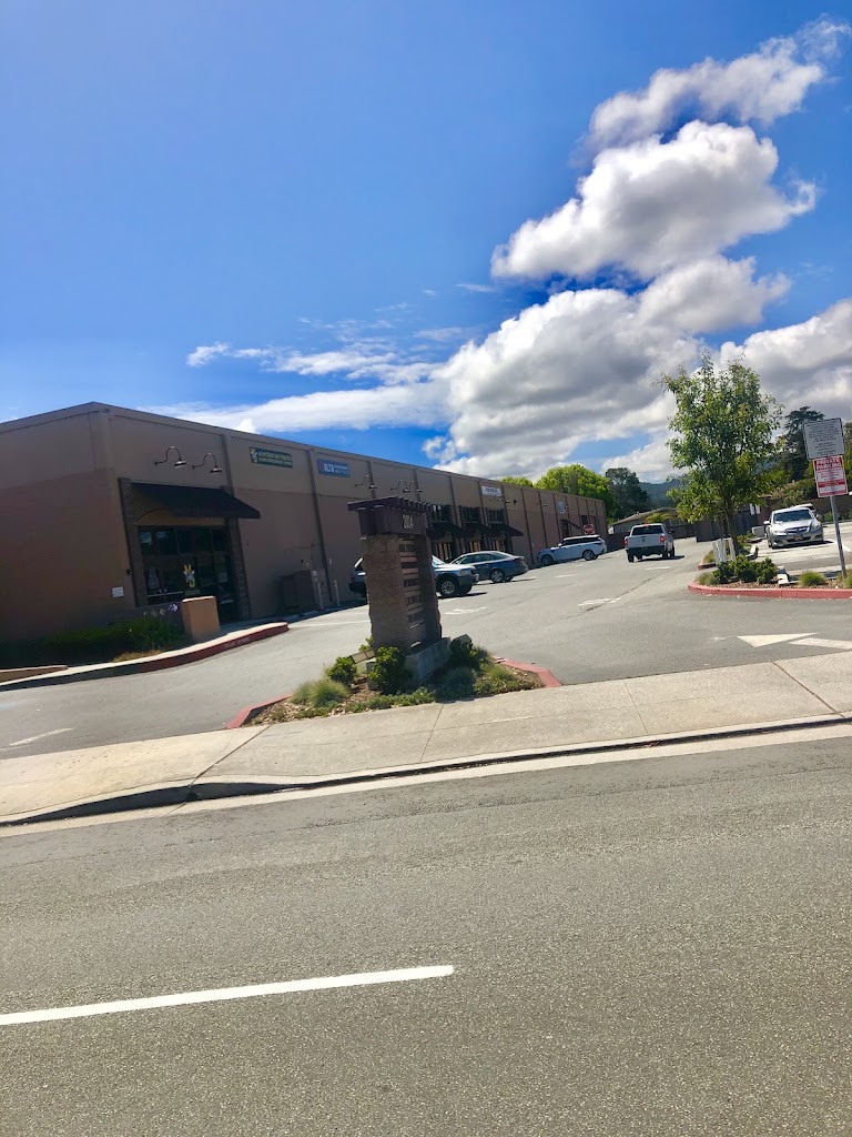  Alta Performance Institute