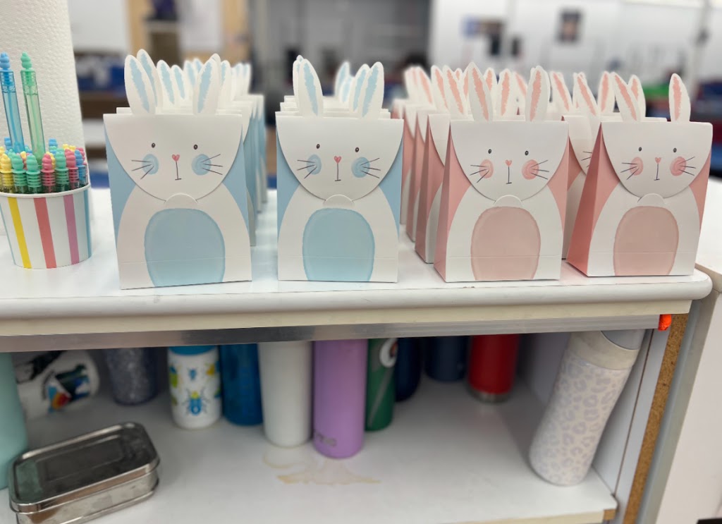  Storm Elite Gymnastics Academy