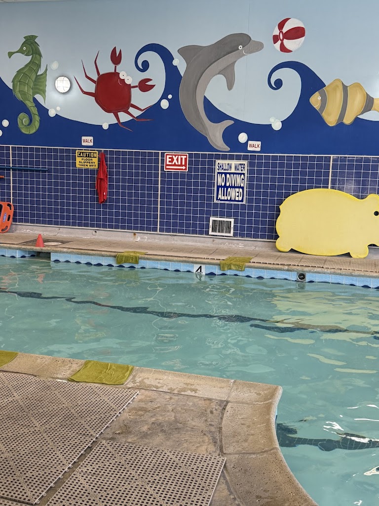  Swim To Shore Swim School
