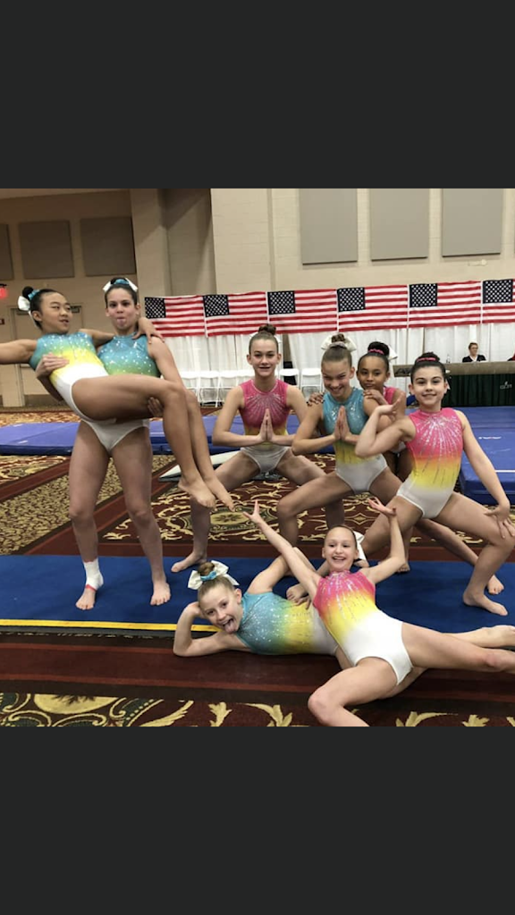  OSEGA Gymnastics and Ninja Warrior Training