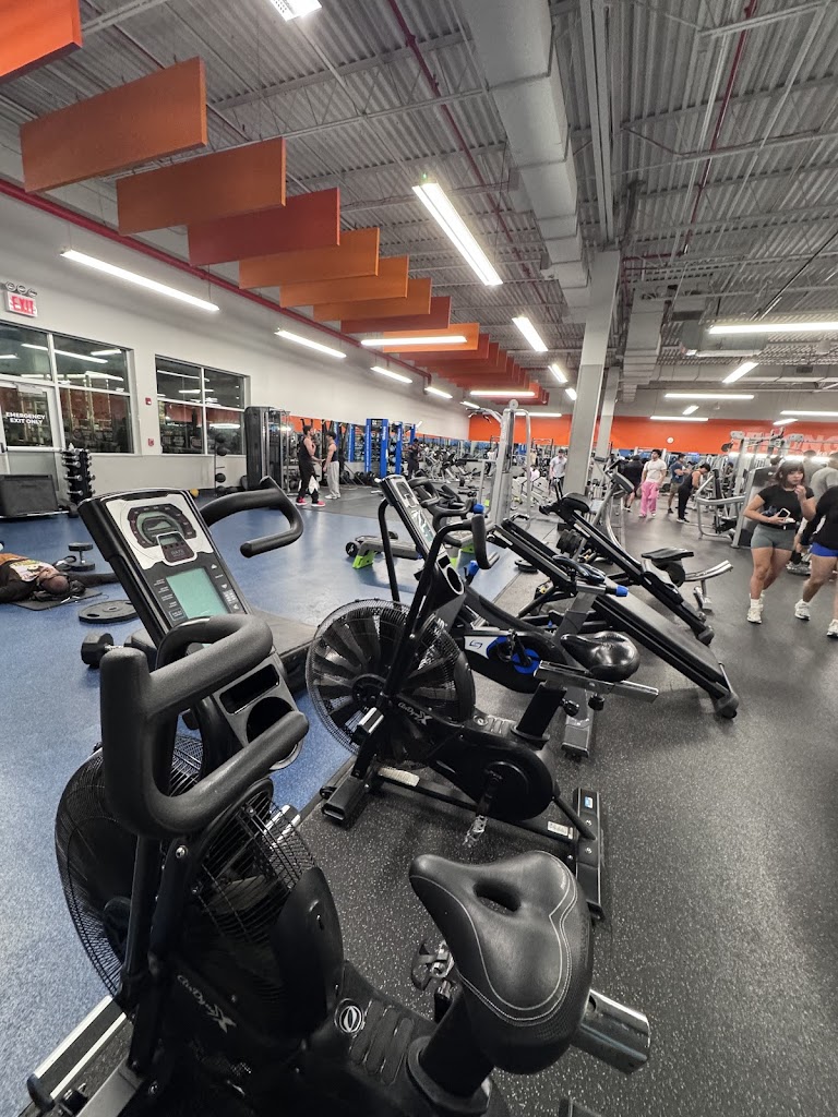  PureGym - Formerly Blink Fitness