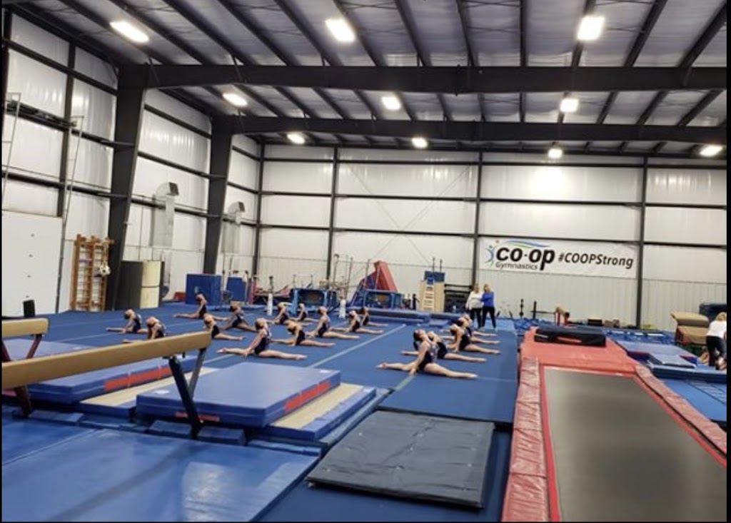  KIDS CO-OP Gymnastics - Tumble - Camps