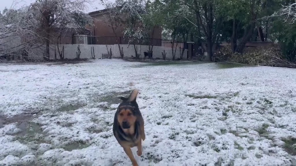  Mikey's LGR Fitness Gym