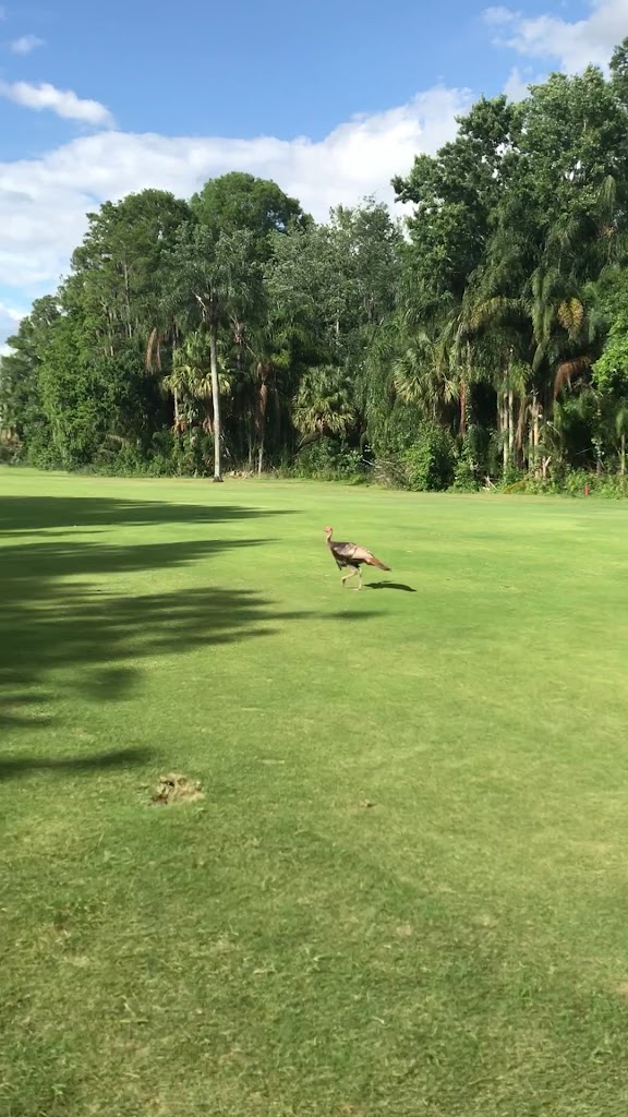  Disney's Magnolia Golf Course