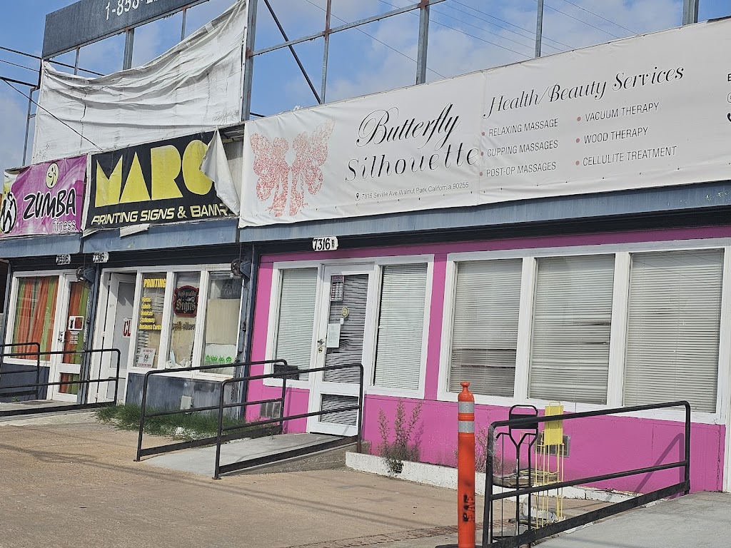  Zumba Fitness con Marco