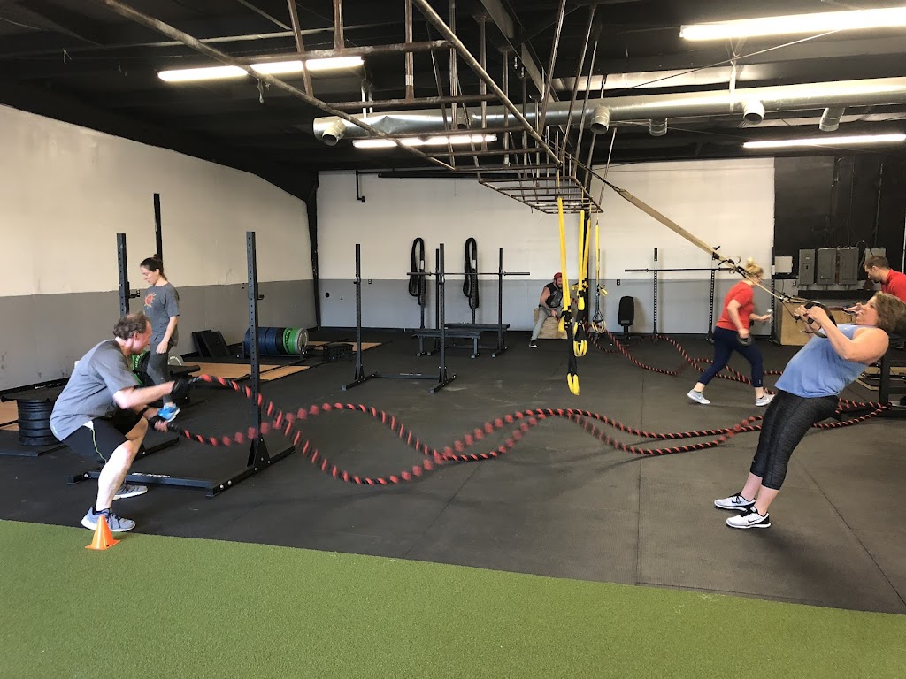  Impact Performance RX