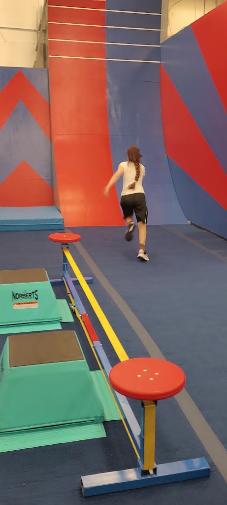  Conquer Ninja Gyms - Bedford