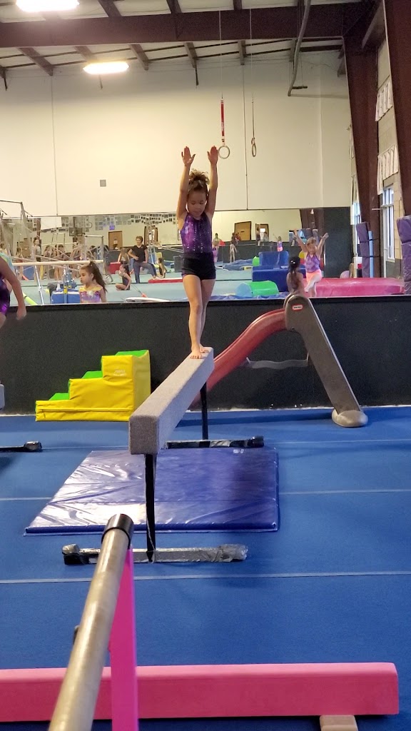  World Class Gymnastics & Cheerleading