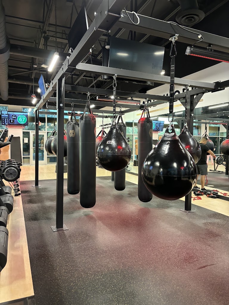  Mayweather Boxing + Fitness