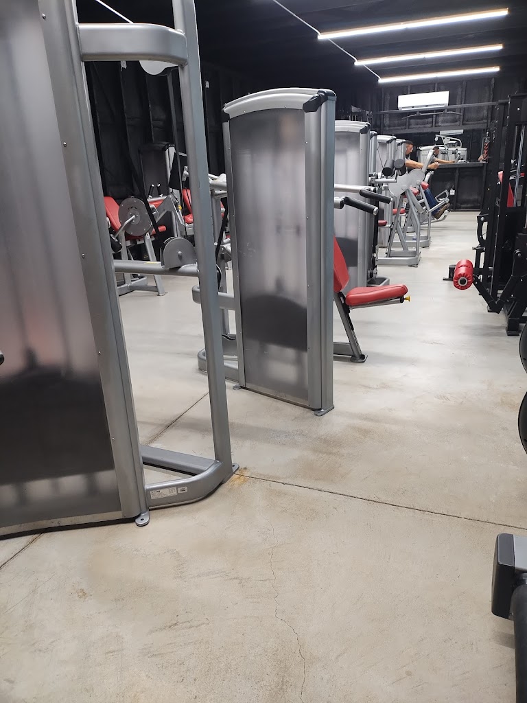  Taylor Made Strength