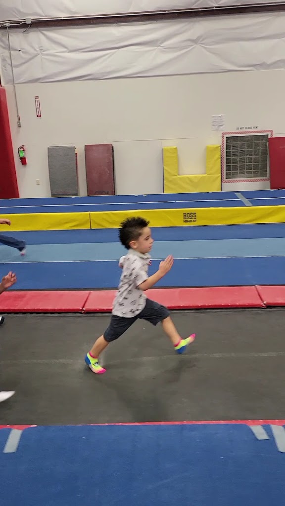  Zenith Elite Gymnastics Academy