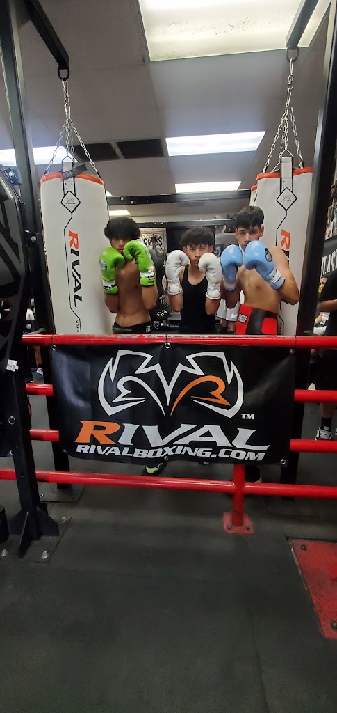  Las Vegas Fight Club