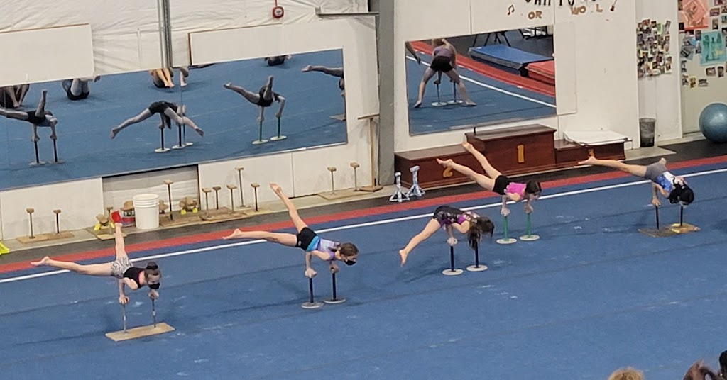  Emilia's Acrobatics, Gymnastics & Cheerleading