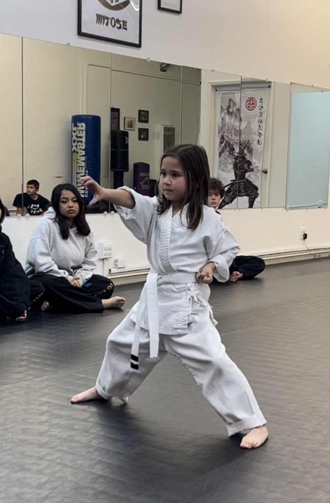  Bay Area's Best Kosho Ryu Kenpo Karate